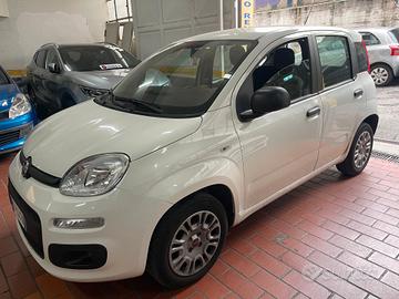 Fiat Panda 1.2 Trussardi