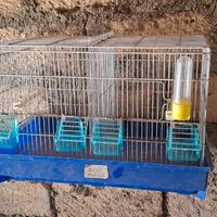 Gabbia da cova per canarini