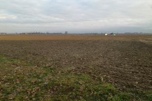 Terreno agricolo