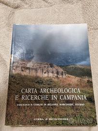 Carta Archeologica e Ricerche in Campania Fasc. 8 