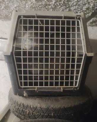 Trasportino piccolo/medio/grande