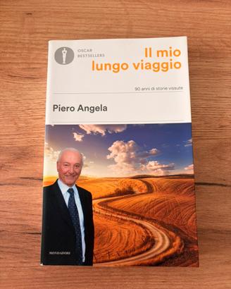 Il mio lungo viaggio