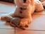 Immagine 3