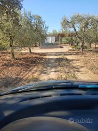 Terrendo fondo agricolo