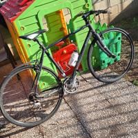 Bici Focus Arriba MTB 