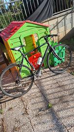 Bici Focus Arriba MTB 