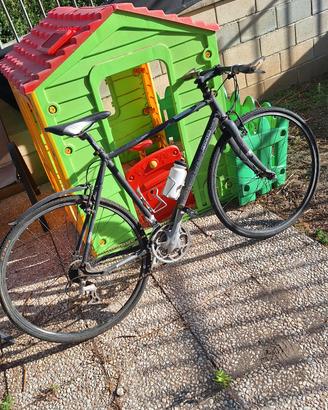 Bici Focus Arriba MTB 