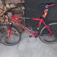 BICICLETTA MOUNTAIN BIKE(GARY FISHER Zigurrat)