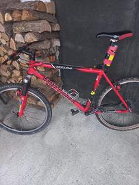 BICICLETTA MOUNTAIN BIKE(GARY FISHER Zigurrat)