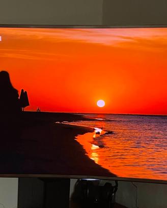 SAMSUNG TV SMART CURVA 48 SUHD + ONE CONNECT