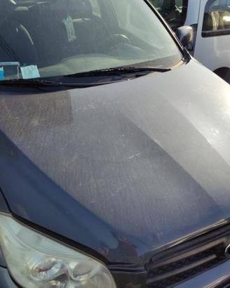 Cofano TOYOTA RAV 4 del 2006