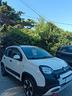 fiat-panda-cross-1-0-hybrid-5-posti-anno-2024