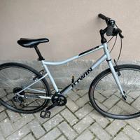 Bicicletta da uomo