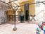 Immagine 21
