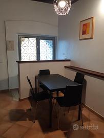 Monolocale palestrina