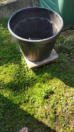 Vaso in plastica nero 55 cm