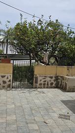 Casa semi indipendente a Milazzo