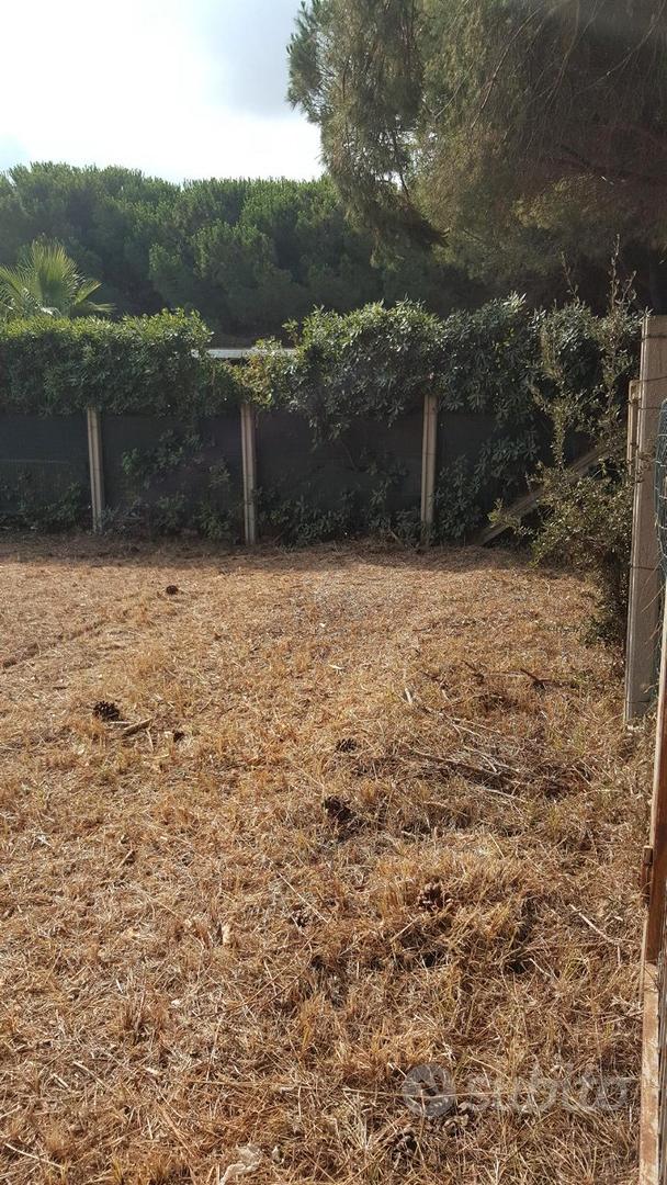 Terreno a 200m dal mare - Tarquinia loc. S. Giorgi - Vista 5