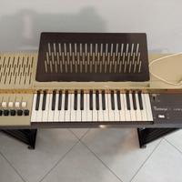 ORGANO ELETTRICO

BONTEMPI

