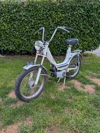 cimatti Piper 50