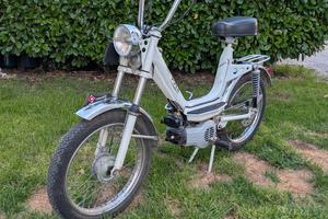 cimatti Piper 50