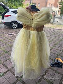 Abito carnevale la Bella e la Bestia