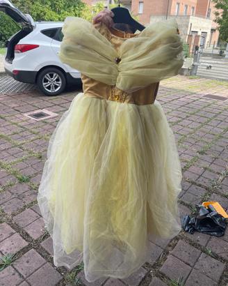 Abito carnevale la Bella e la Bestia