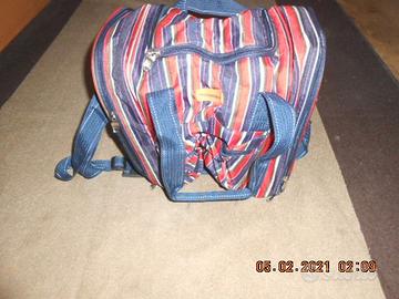 Accessori per Picnic completa di piatti, posate