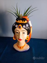 Portavaso con pianta 