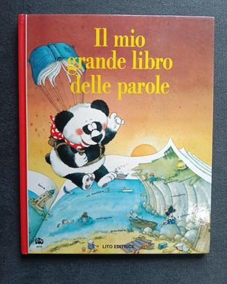 Il mio grande libro delle parole Lito ed. vintage