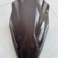 Cupolino kawasaki z 1000