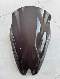 Cupolino kawasaki z 1000