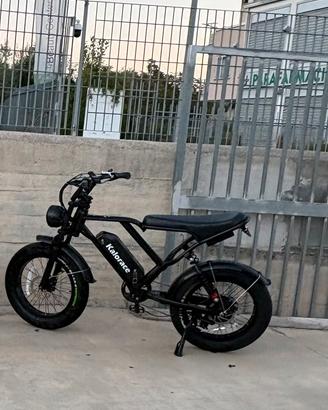Bici elettrica