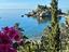 Immagine 10