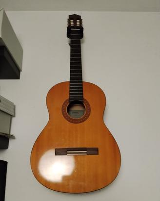 Chitarra C40