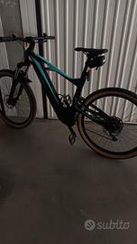 bicicletta 