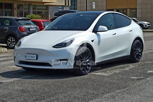 TESLA Model Y AWD Performance