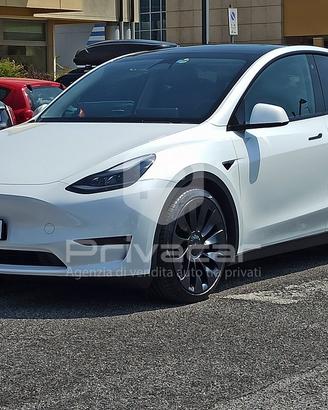 TESLA Model Y AWD Performance