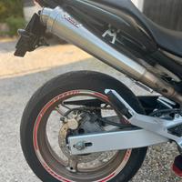 Honda hornet