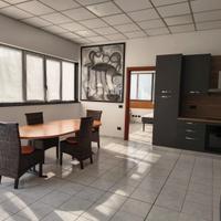 Ampio bilocale moderno di 80mq-SENAGO MI