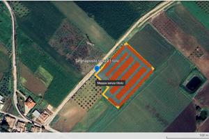 Terreno 1 ettaro con pendenza sud per fotovoltaico