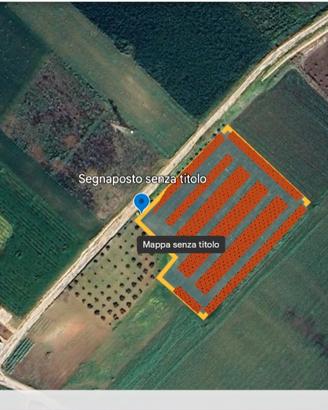 Terreno 1 ettaro con pendenza sud per fotovoltaico