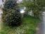 Immagine 6