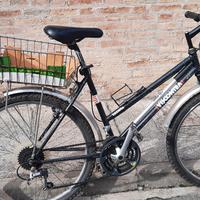 bicicletta viscontea cambio shimano da donna