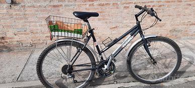 bicicletta viscontea cambio shimano da donna