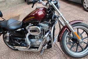 Harley Davidson sportster low ride