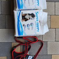 Pettorina + guinzaglio + tappetini