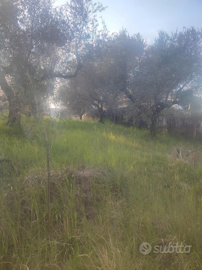 Terreno agricolo zona Mezzaluna - Mentana - Vista 2