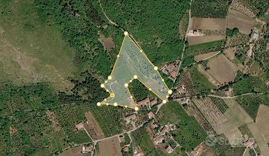 Terreni