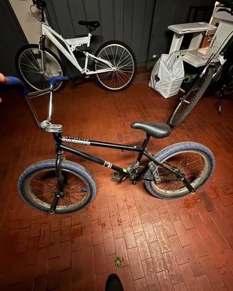 Bmx stolen casinò